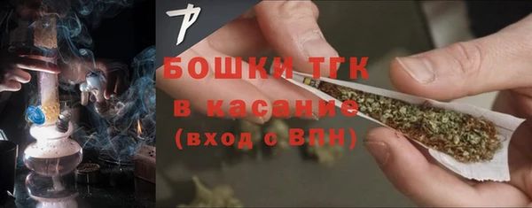 молекула духа Крымск