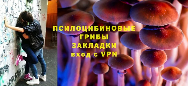 молекула духа Крымск